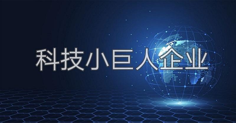 科技小巨人是什么？廣州市企業(yè)科技小巨人怎么認證申請