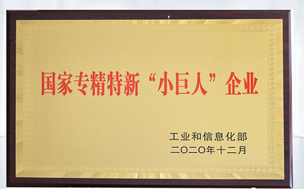 專精特新小巨人企業