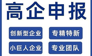 大型傳統企業 - 東莞某能源科技有限公司